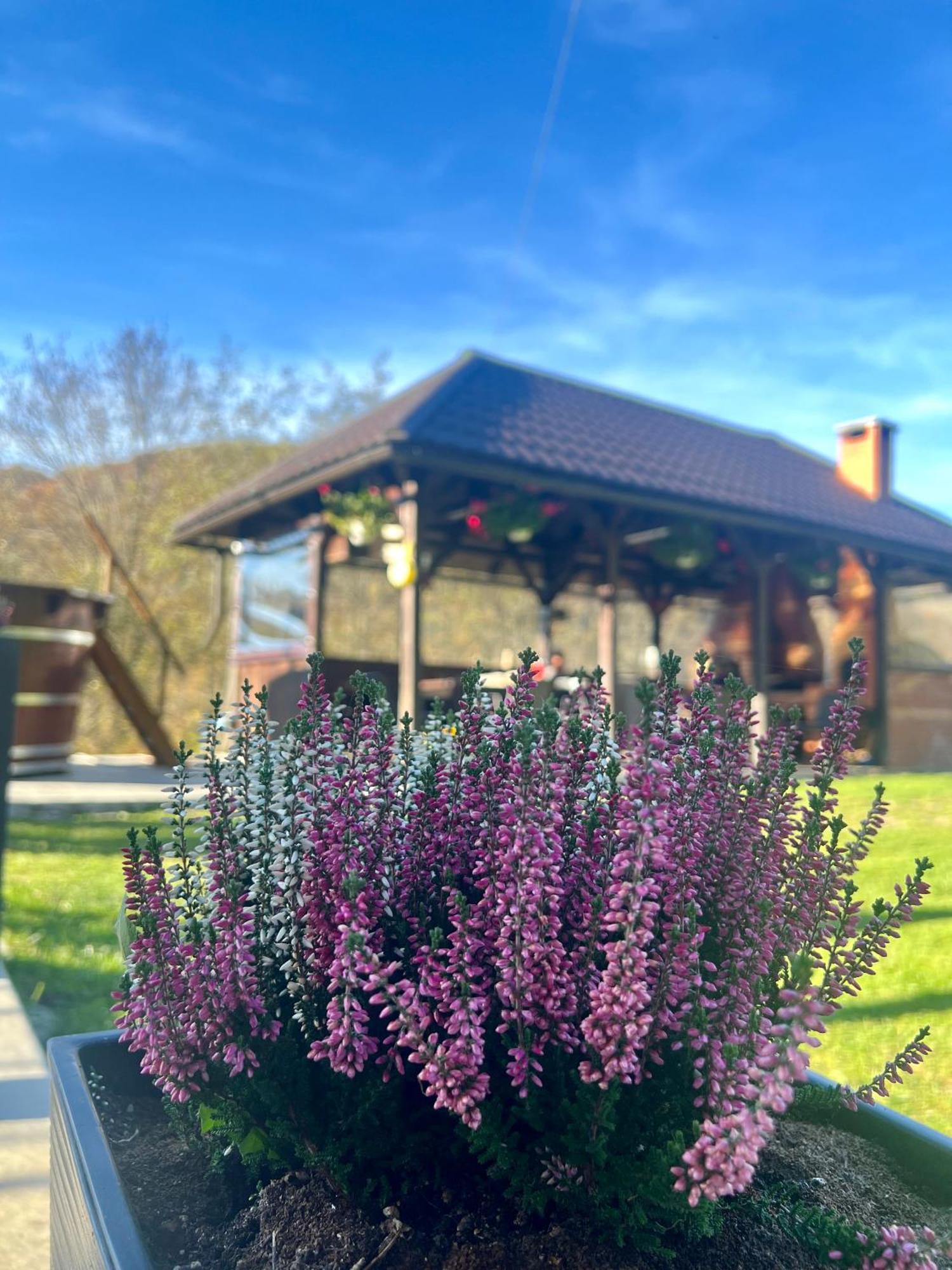 Cabana Baraj Apuseni Mountains Mihoesti 외부 사진