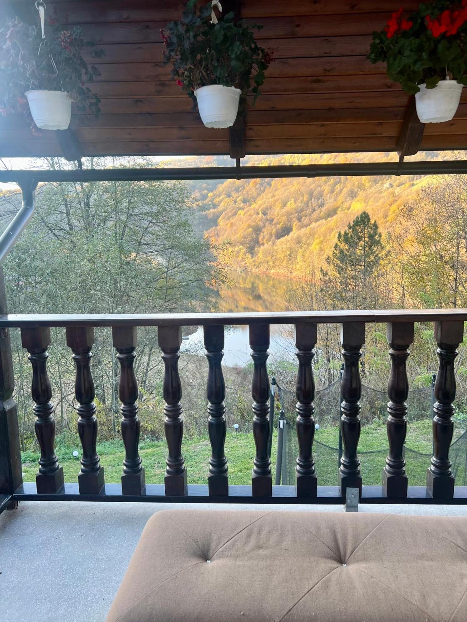 Cabana Baraj Apuseni Mountains Mihoesti 외부 사진